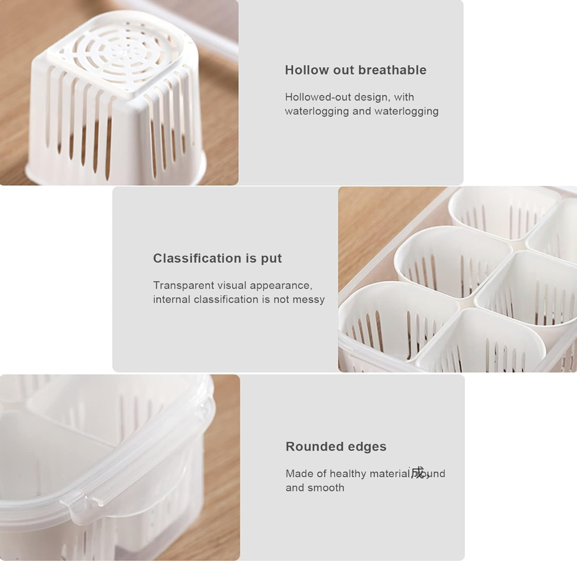 Food Storage Box With Lid and 6 Compartments